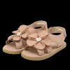 Iles Fields | Peony | Coral Betting Leather